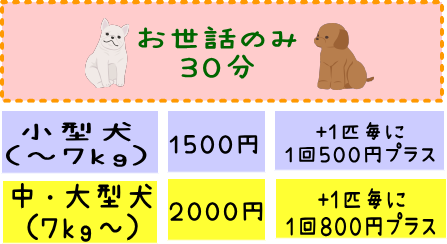子犬のお世話　３０分１５００円